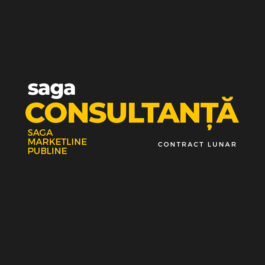 Serviciu consultanta Saga(Tarif orar sau contract lunar) Serviciu consultanta Saga(Tarif orar sau contract lunar)